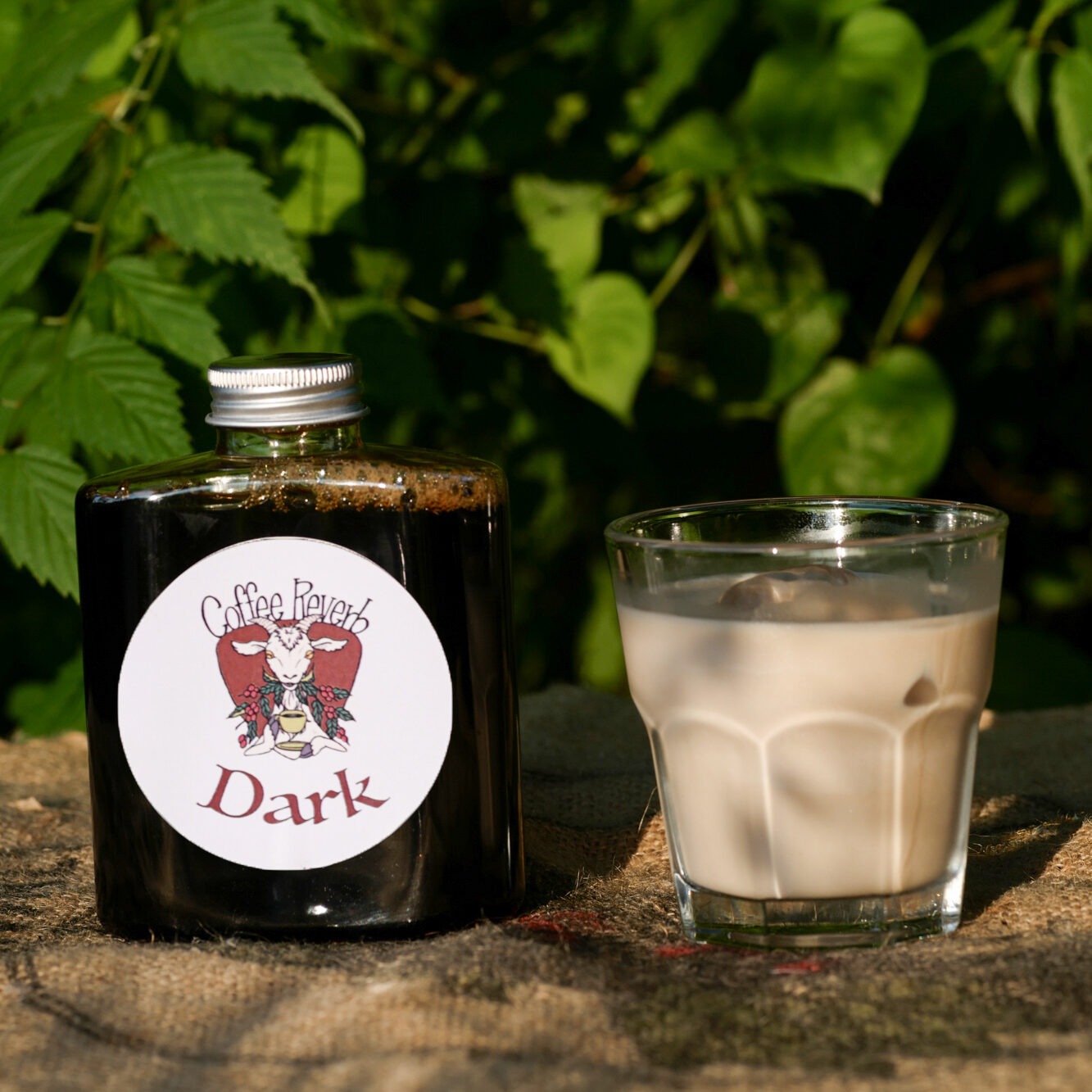 【Dark250】注ぐだけ！本格カフェオレベース