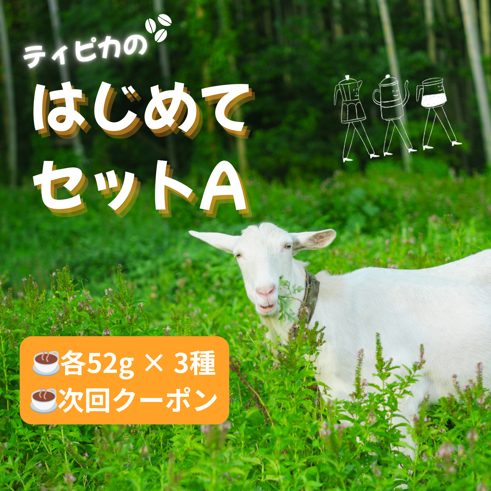 【ネット限定】ティピカのはじめてセットA ※送料無料