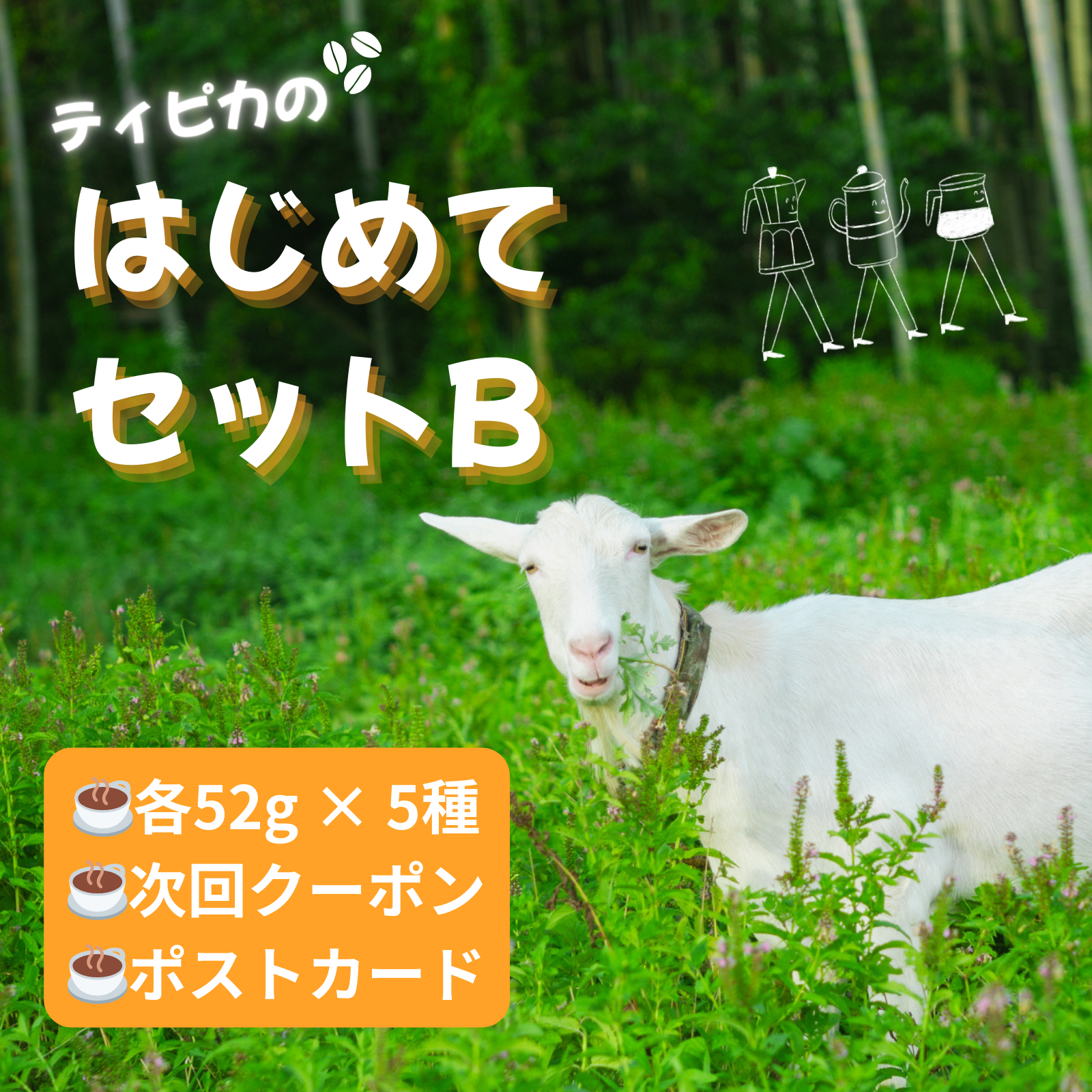 【ネット限定】ティピカのはじめてセットB ※送料無料