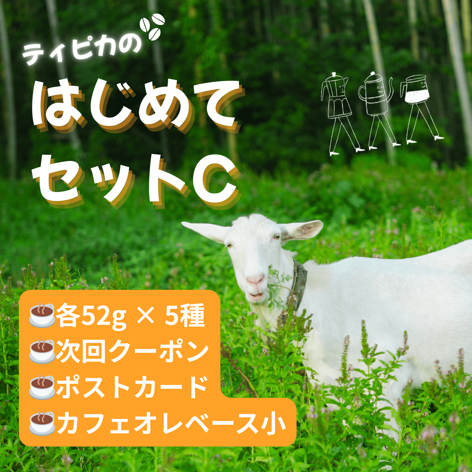 【ネット限定】ティピカのはじめてセットC ※送料無料