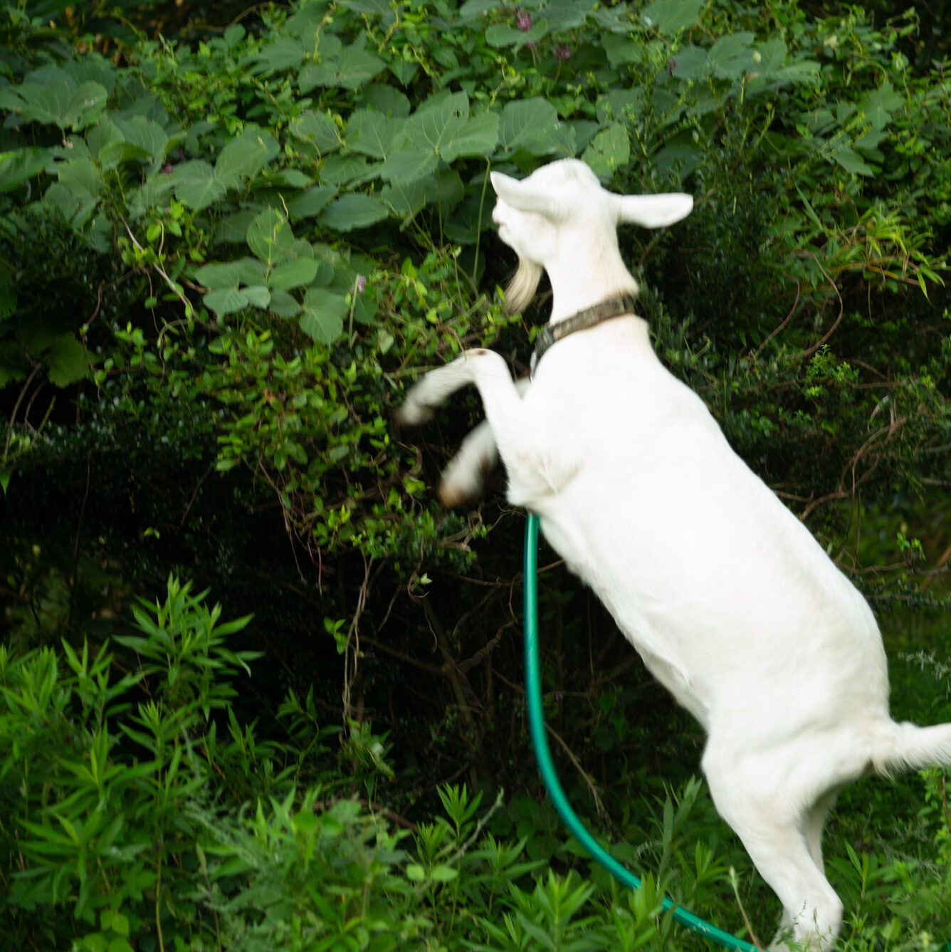 冬のわくわくセット