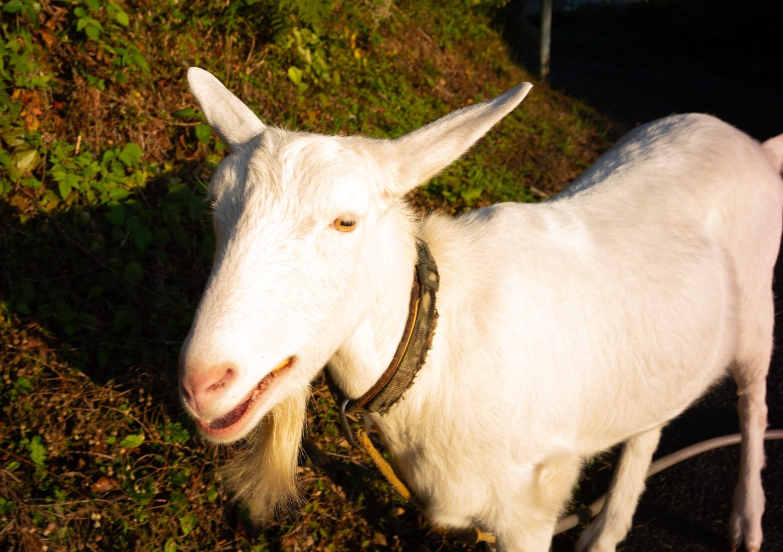 「もっとズボラに、ごきげんに」2026年のコーヒーの話。