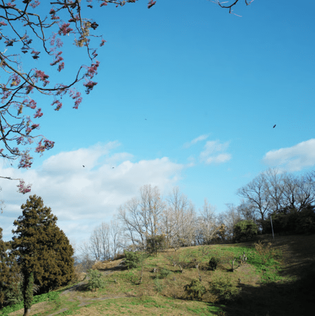 新年コーヒー豆セット 323g
