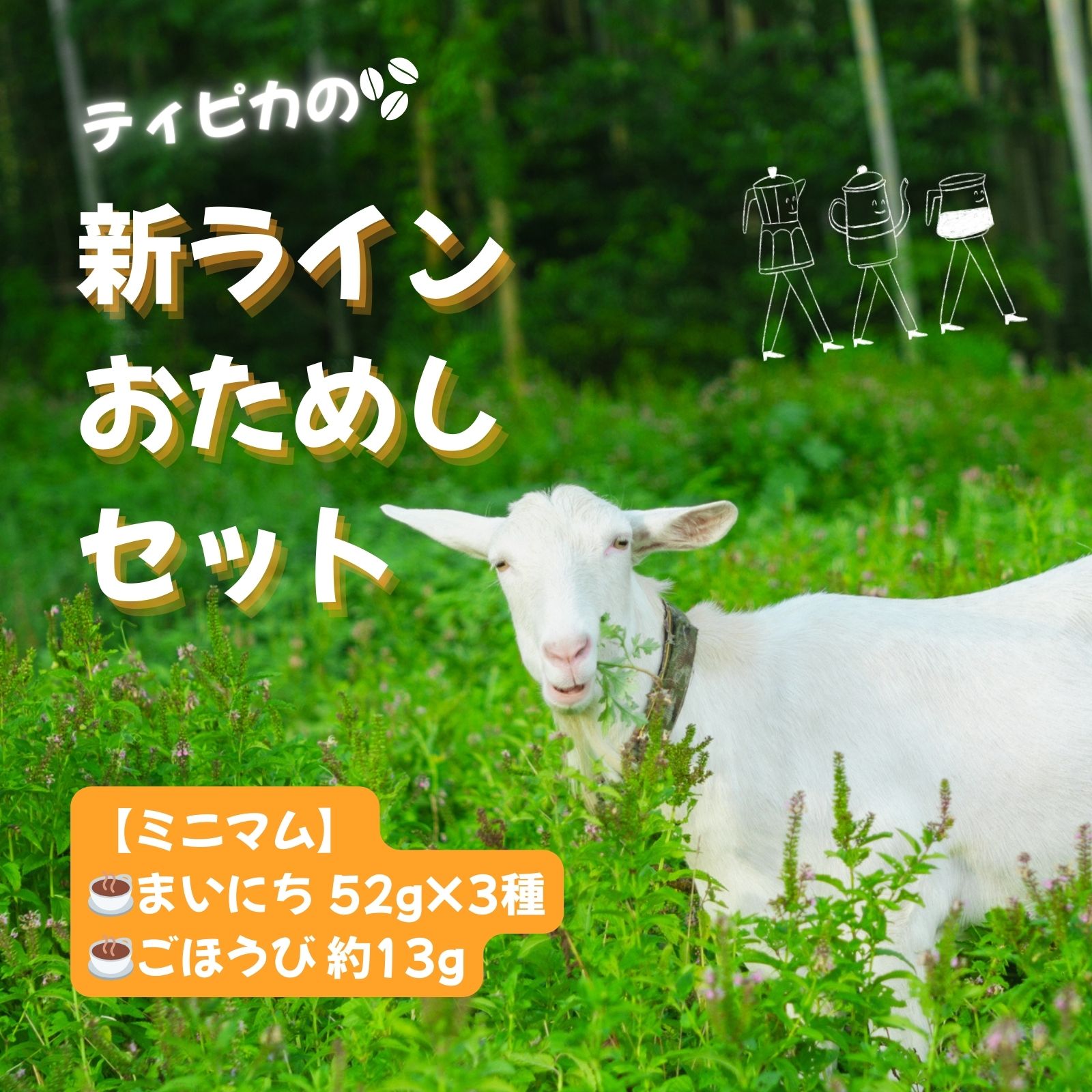 【2/8まで限定】新ラインナップおためしセット